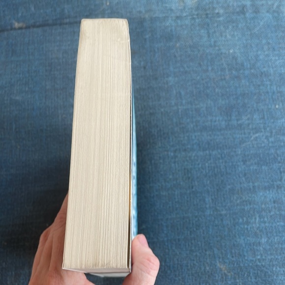 The Blue Demon - David Hewson. Thriller. Novel. Softcover. - Picture 6 of 7